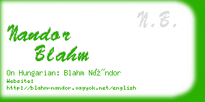 nandor blahm business card